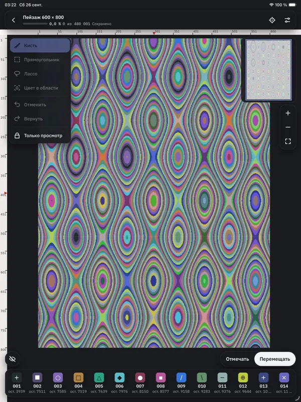 Chart screen on iPad: the whole 600 × 800 test chart, a labelled tool panel, minimap and thread strip